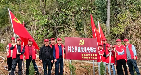 村企共建，共植先鋒林